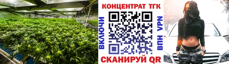 ТГК концентрат  закладка  Нижняя Салда 