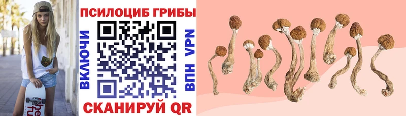 Псилоцибиновые грибы Psilocybine cubensis  mega онион  Нижняя Салда 